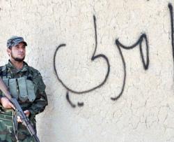 النبراس تصمم والبذرة تطبع والسراج توزع وآمرلي تقرأ