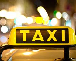 النقل مجاناً على حساب الحسين عليه السلام